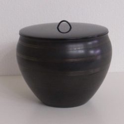 砂張流金水指