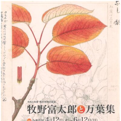 春の特別企画展「牧野富太郎と万葉集」
