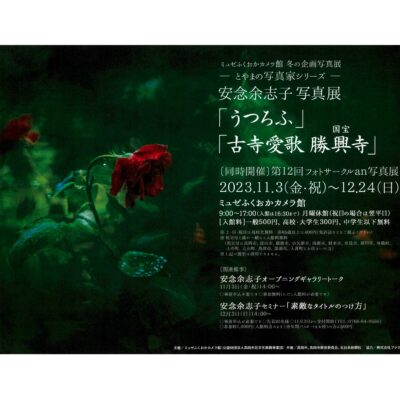 安念余志子 写真展「うつろふ」「古寺愛歌 国宝勝興寺」