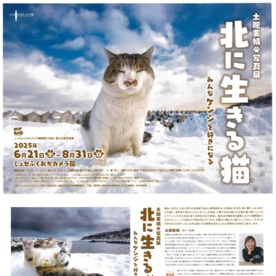 開館25周年･夏の企画写真展 土肥美帆写真展「北に生きる猫」